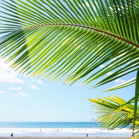 Hotel Playa カンブタル エクステリア 写真