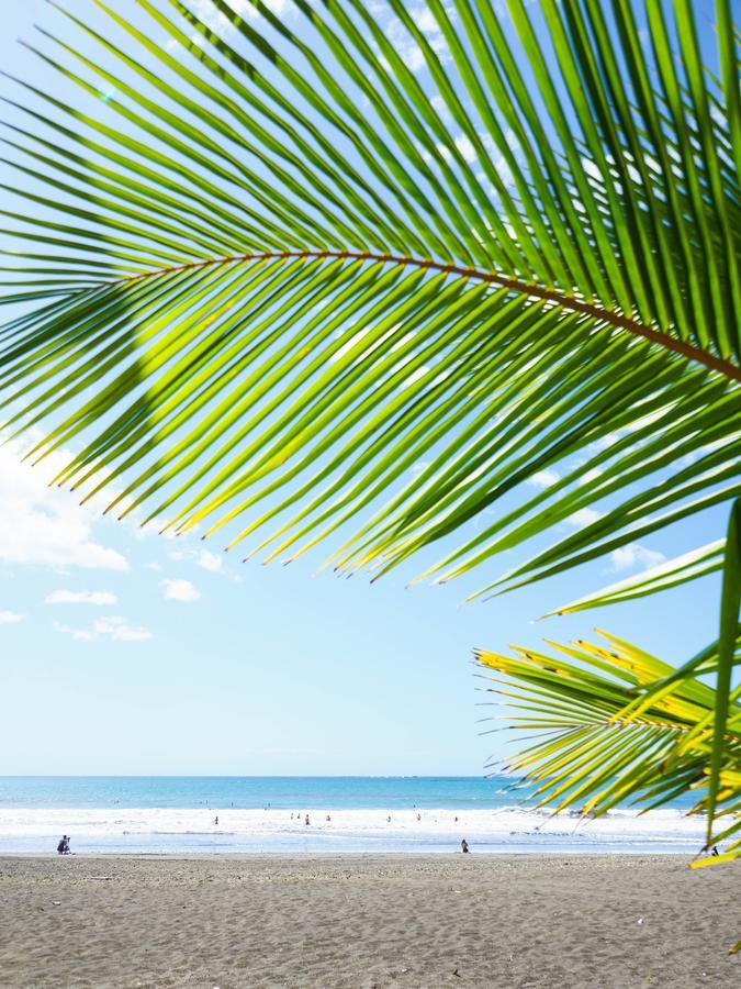 Hotel Playa カンブタル エクステリア 写真